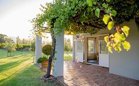 Saronsberg Vineyard Cottages